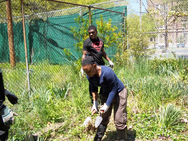 Beck Street Garden Clean up 006