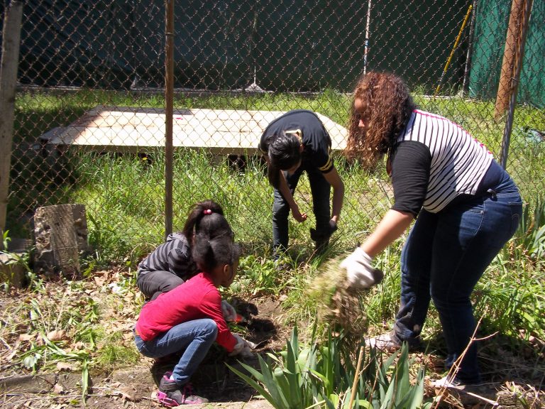 Beck Street Garden Clean up 008