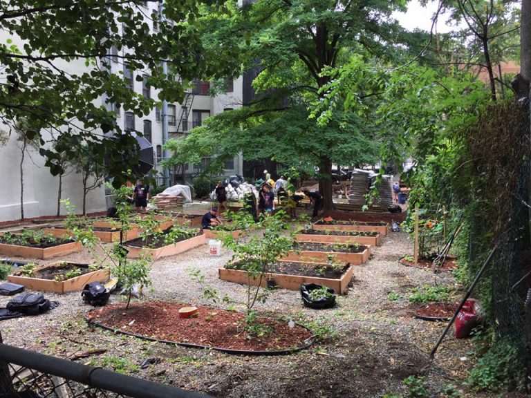 Community Garden On College Ave